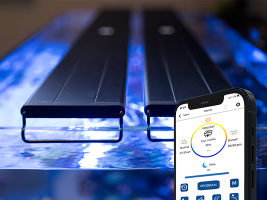 Why Aquarium Lights Are Expensive: Beyond Just the LEDs