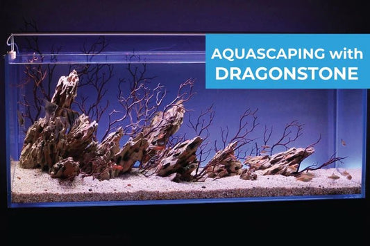 Tips for Aquascaping with Dragonstone - Vita
