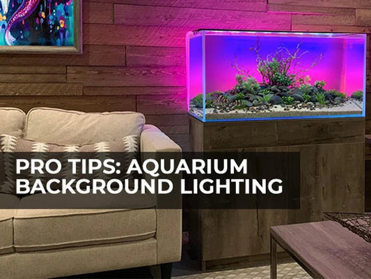 Tips for Installing Background LED Lights - Vita