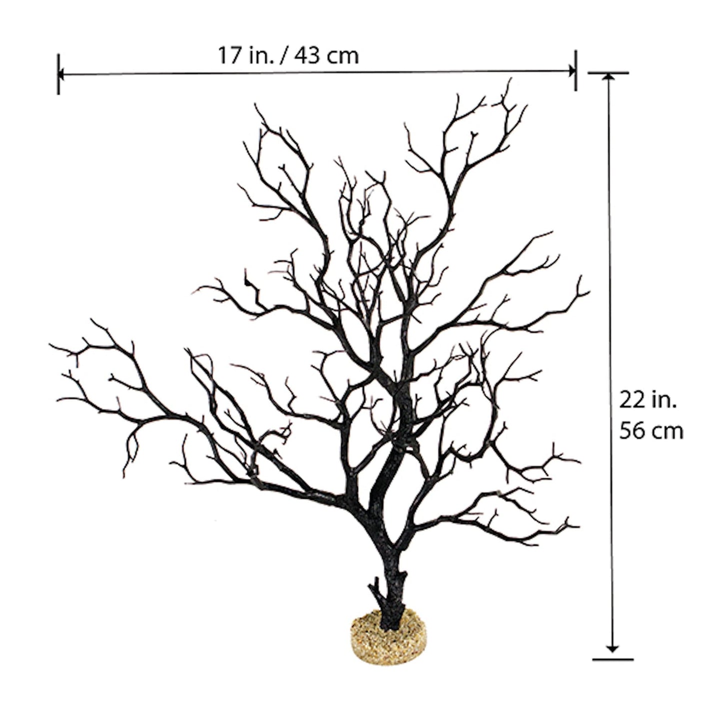 Black Manzanita Branch 22" Tall with Base.