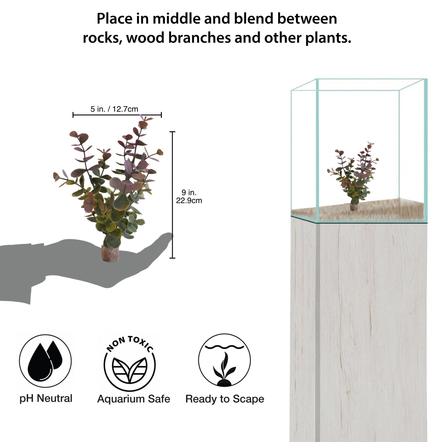 Lavender Aqualyptus Aquarium Plant