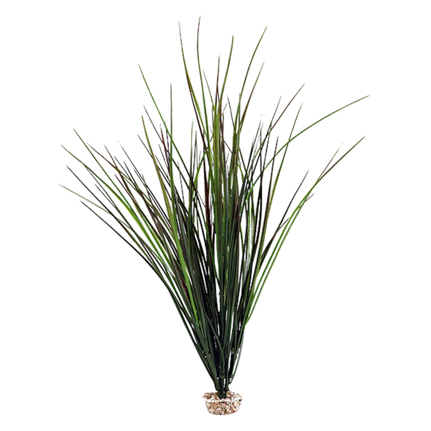 Extra Tall Green Reed Grass with Weighted Base