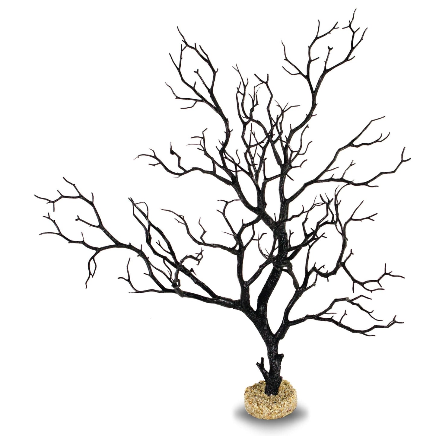 Black Manzanita Branch 22" Tall with Base.