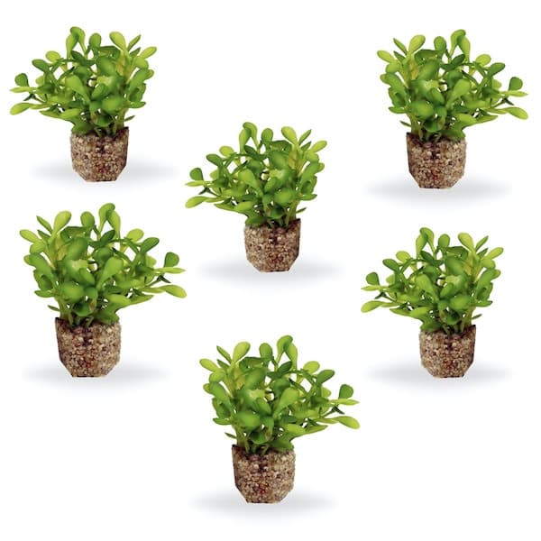 small pots for aquarium plants Current USA Small Button Leaf Artificial Aquarium Plant Decor with Weighted Stone Base| Natural, Lifelike Fish Tank Decoration | Non-Toxic Plastic
