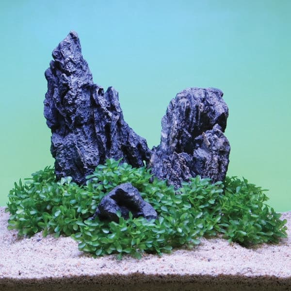 Green-Plant-Lifestyle