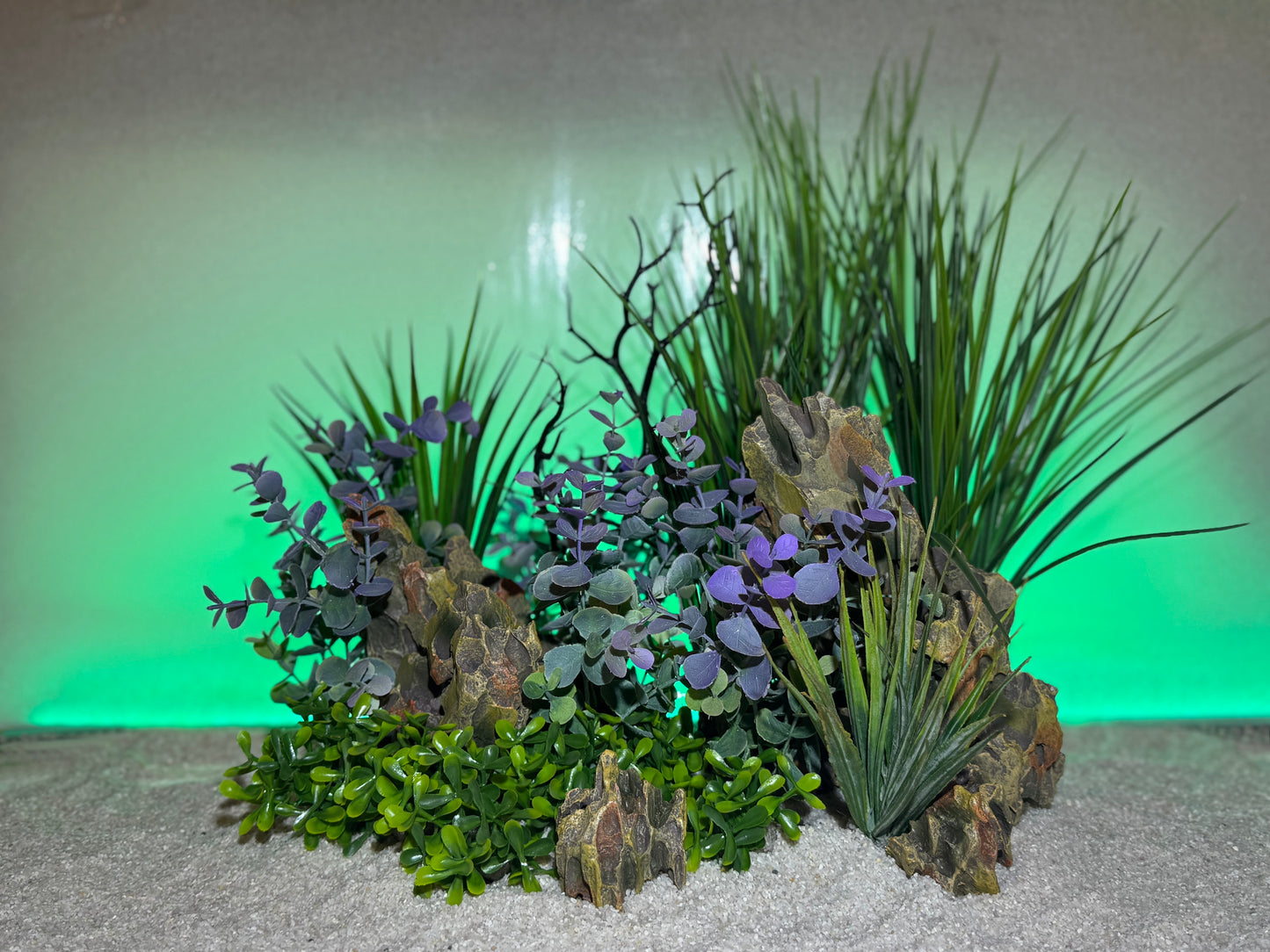 Lavender Aqualyptus Aquarium Plant