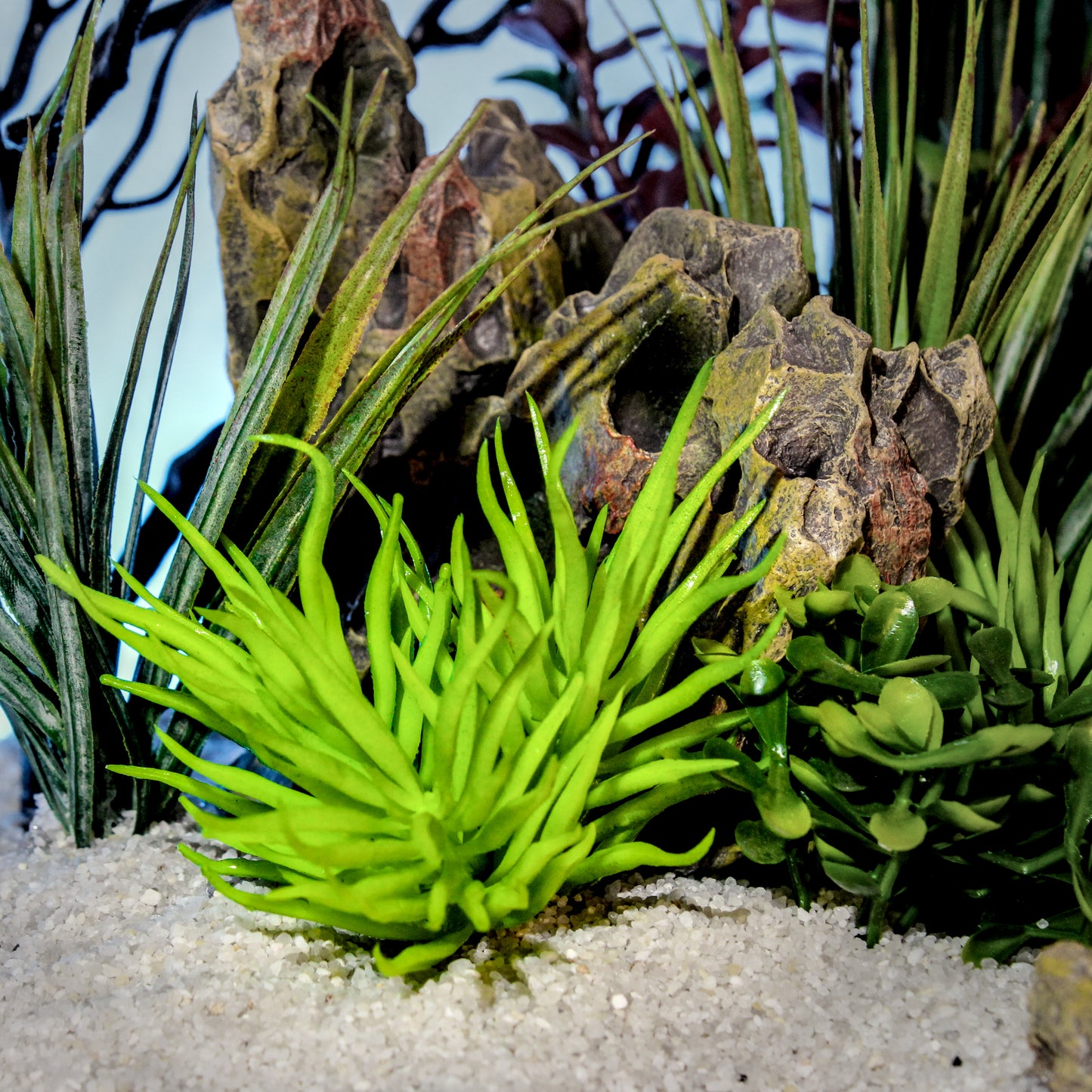Bright Green Water Shrub (2 Pack)