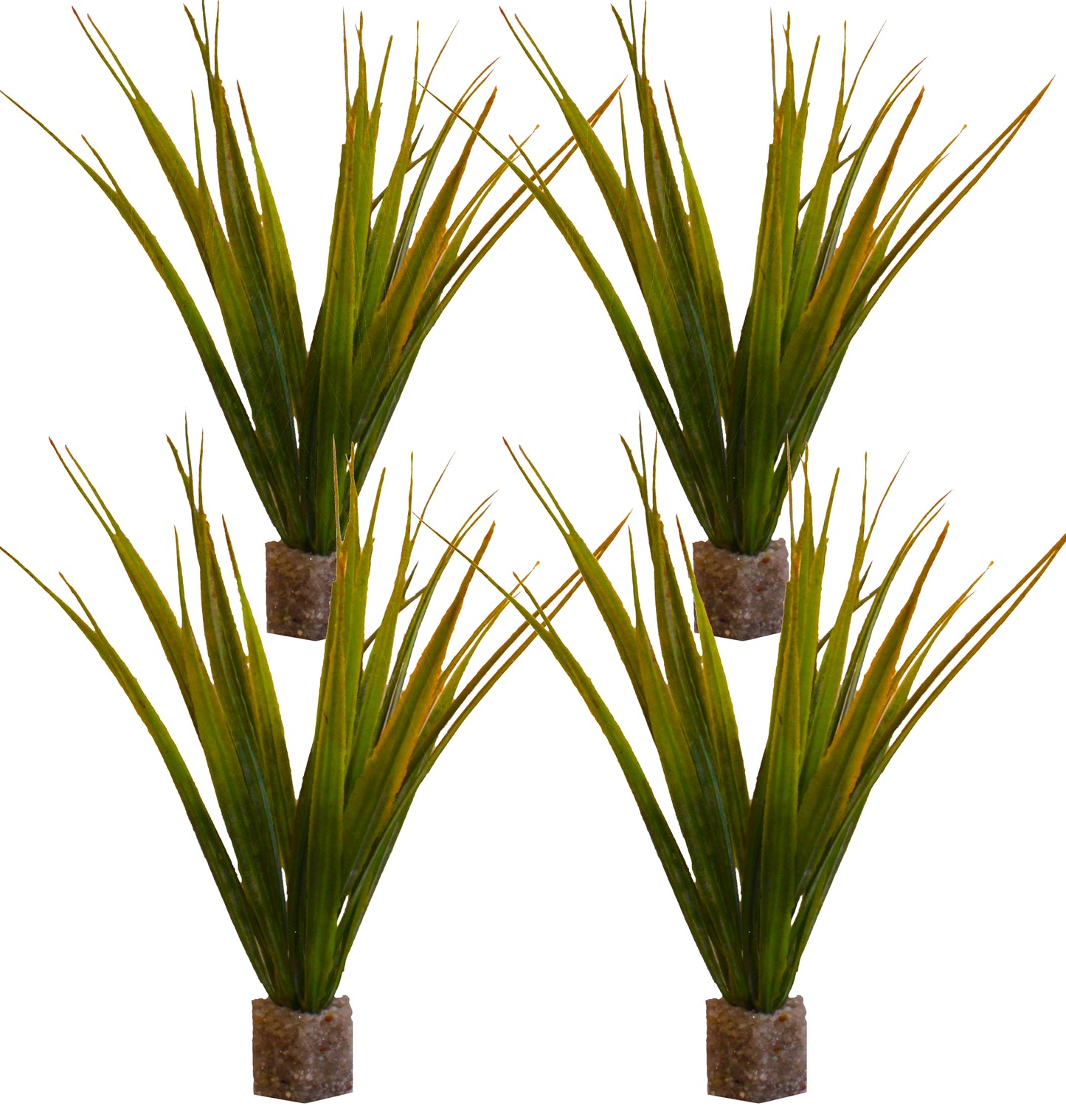 Short Mid-Ground Fountain Grass (2 Pack)