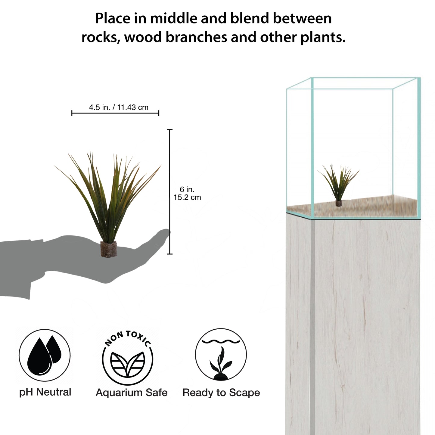 Short Mid-Ground Fountain Grass (2 Pack)