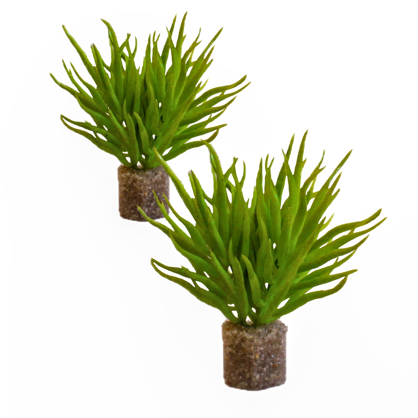 Bright Green Water Shrub (2 Pack)