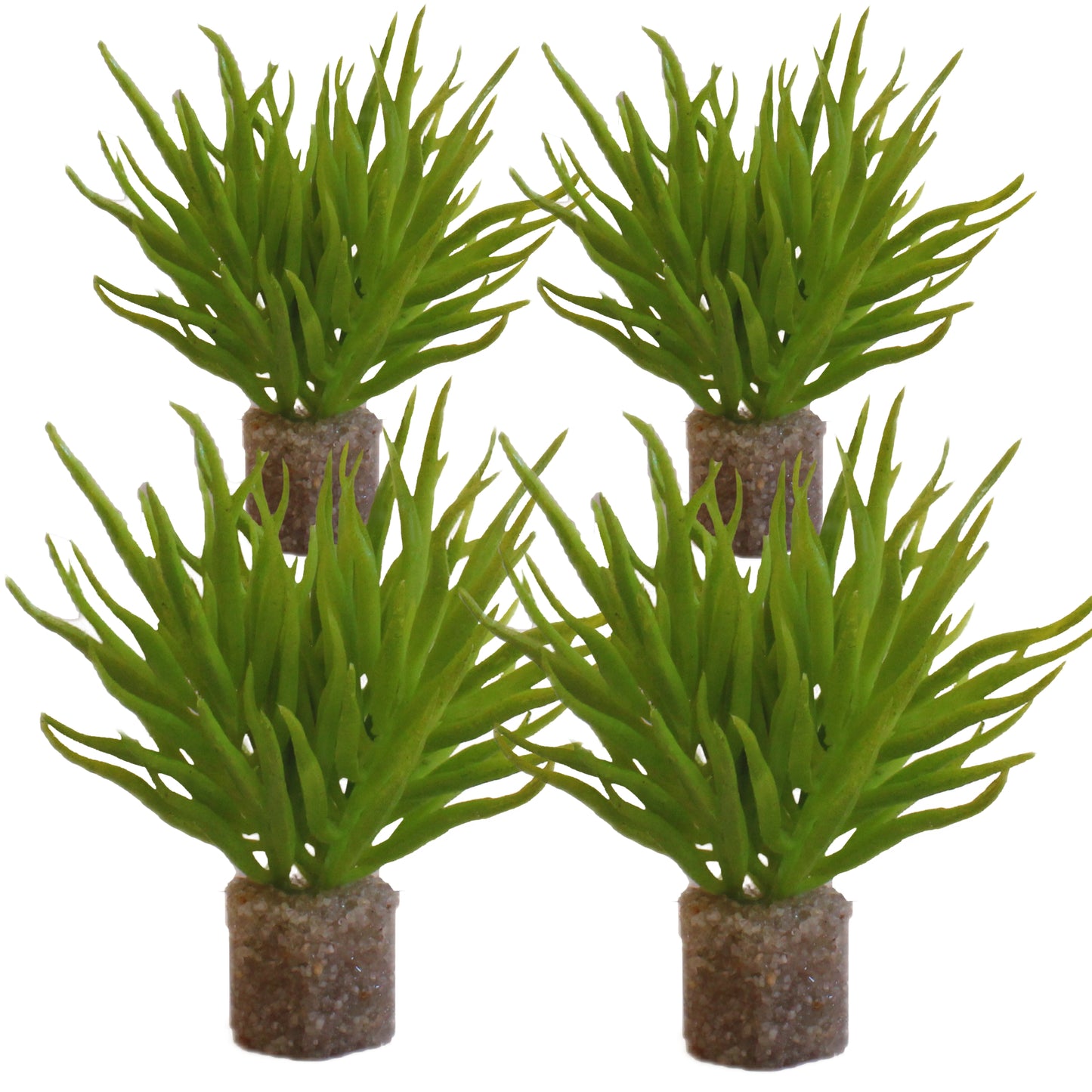 Bright Green Water Shrub (2 Pack)