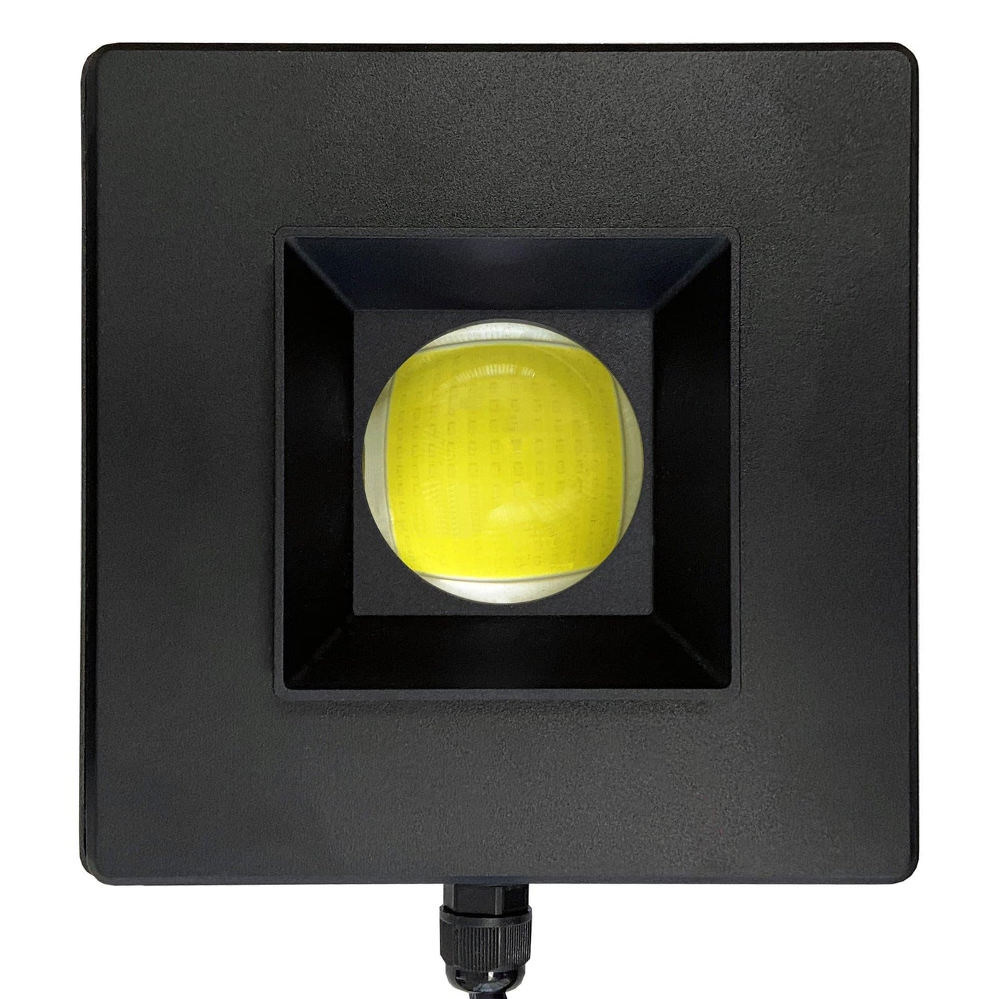 Cannon 80w LED Light 10,000K White - Vita