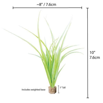 Fountain Grass Light Green with Weighted Base - Vita