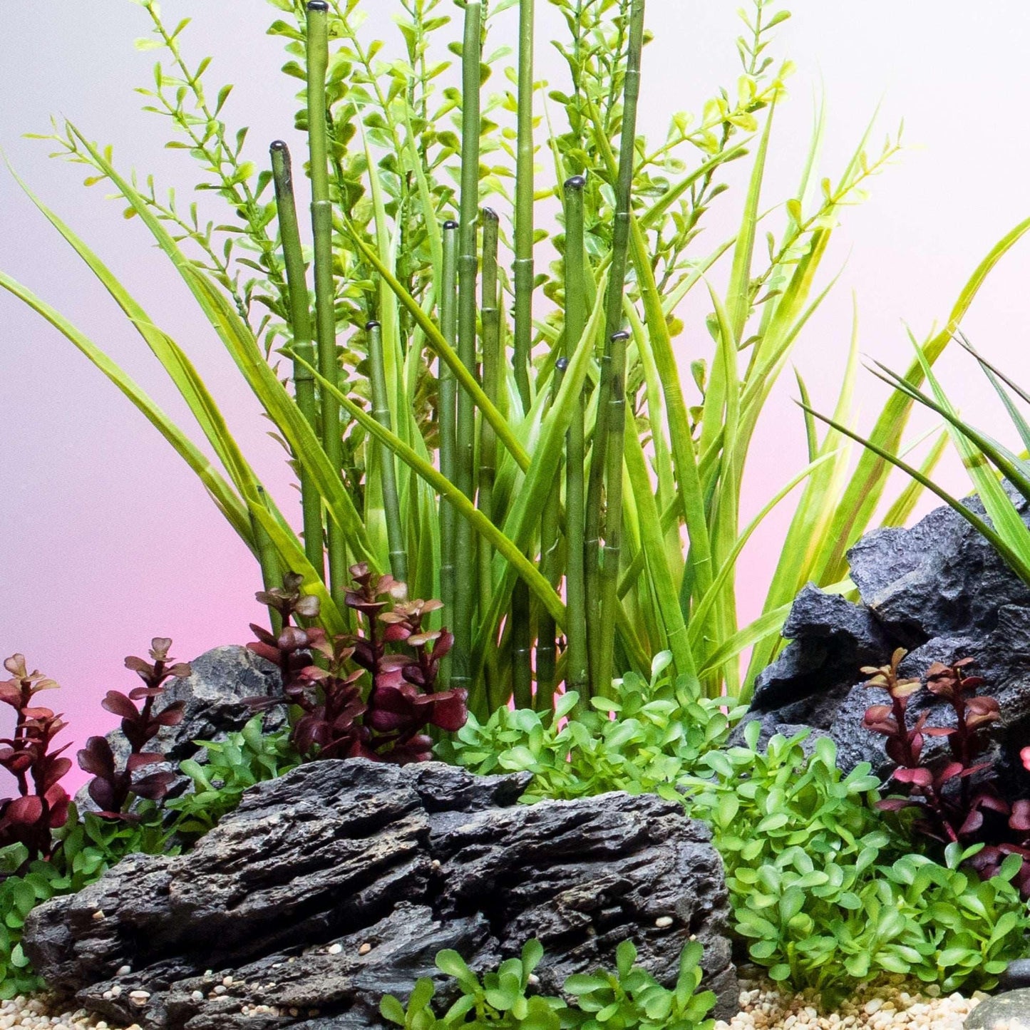 Fountain Grass Light Green with Weighted Base - Vita
