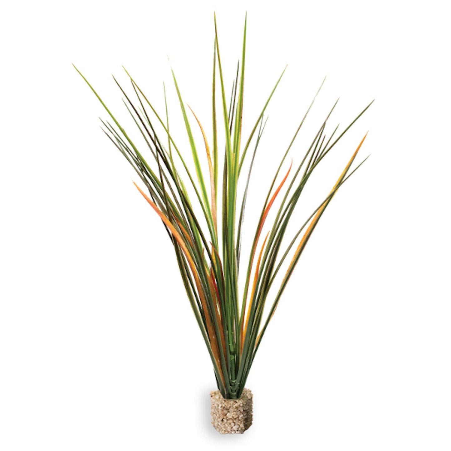 Fountain Grass Medium Green with Weighted Base - Vita