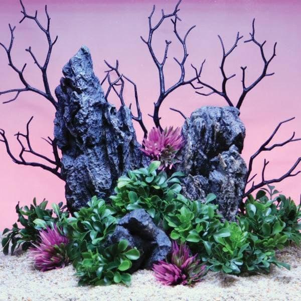 Mini Shrub Plant Purple 3 Pk - Vita