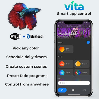 Serene ColorCast Smart Background Accent LED Light - Vita
