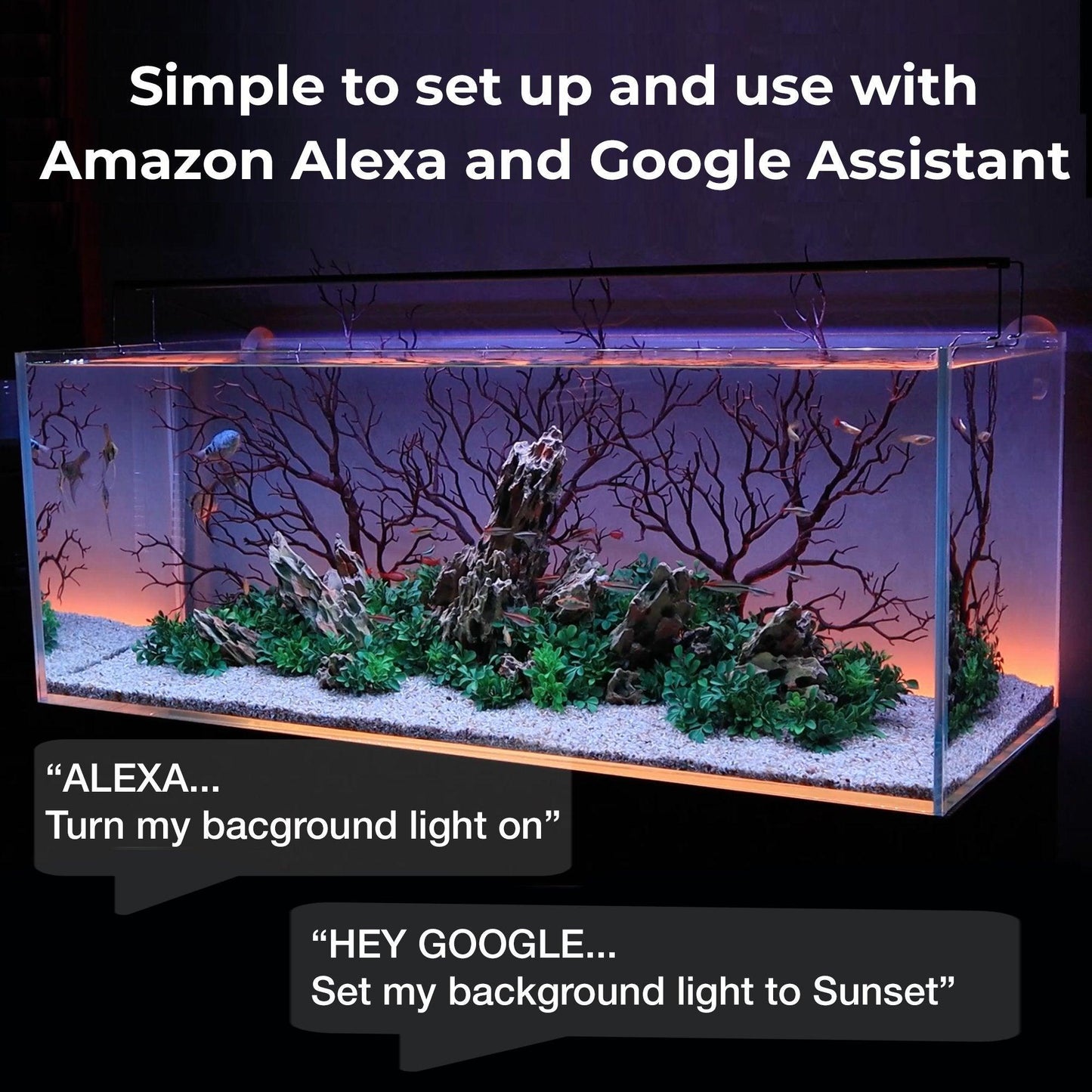 Serene ColorCast Smart Background Accent LED Light - Vita