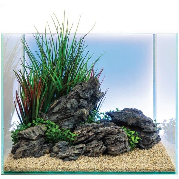Tall Green Fountain Grass with Weighted Base - Vita