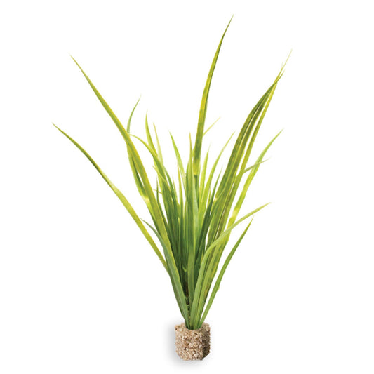Fountain Grass Medium Green with Weighted Base.