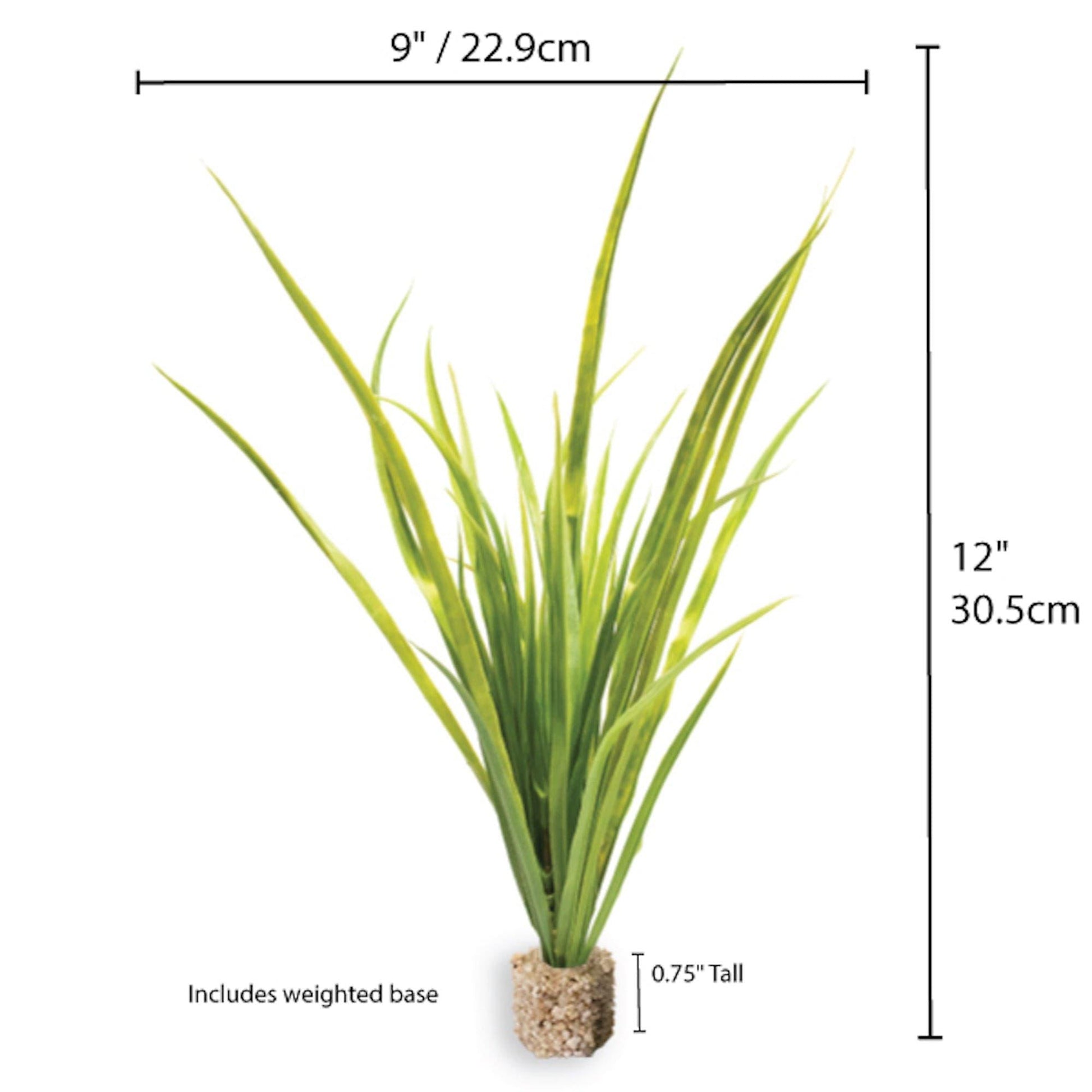 Fountain Grass Medium Green with Weighted Base.