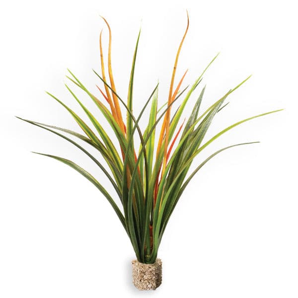 Fountain Grass Dark Green Orange with Weighted Base.