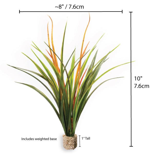 Fountain Grass Dark Green Orange with Weighted Base.