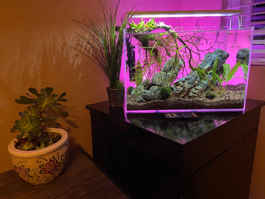 ColorCast Aquarium Background Light – Vita