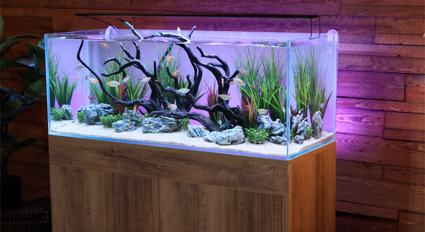 ColorPlus Aquarium LED + ColorCast Background Light  Bundle (For Aquariums 48" to 50")
