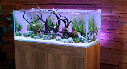 ColorPlus Aquarium LED + ColorCast Background Light  Bundle (For Aquariums 48" to 50")
