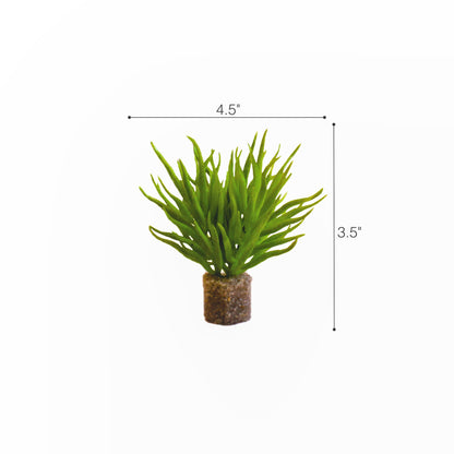Bright Green Water Shrub (2 Pack)