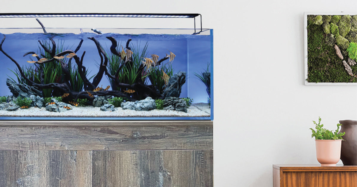 ColorPlus Aquarium LED + ColorCast Background Light  Bundle (For Aquariums 48" to 50")
