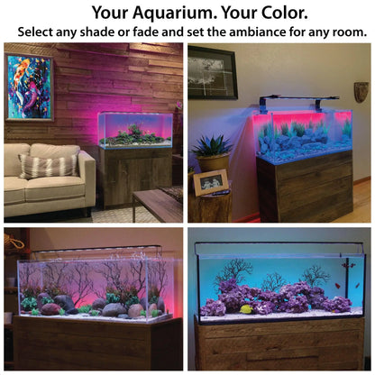 ColorPlus Aquarium LED + ColorCast Background Light  Bundle (For Aquariums 48" to 50")